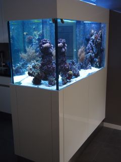aquarium 4 4