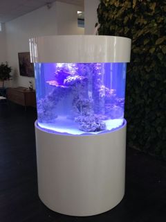 aquarium 11 1
